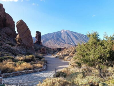 Puerto Cruz: VIP Teide Sunset & Stars, Guachiche Lunch+Cava - The Guachinche Lunch at El Cubano: Your Best Energy Strategy
