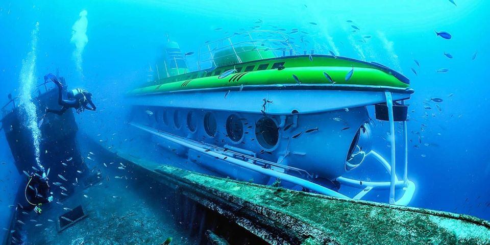 Puerto de la Cruz: Submarine Trip and Beach Stop in Tenerife - Marine life you can actually spot: fish, octopus, and sting rays