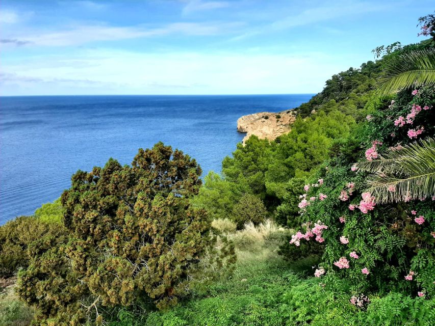 Puerto de San Miguel: Can Marçá Cave Guided Tour with Entry - Key points before you go