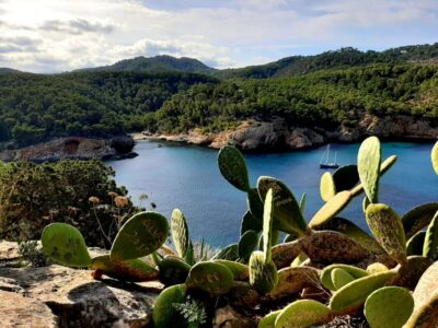 Puerto de San Miguel: Can Marçá Cave Guided Tour with Entry - Meeting at Av. Benirràs, 36 and the pre-cave scenery you don’t want to miss
