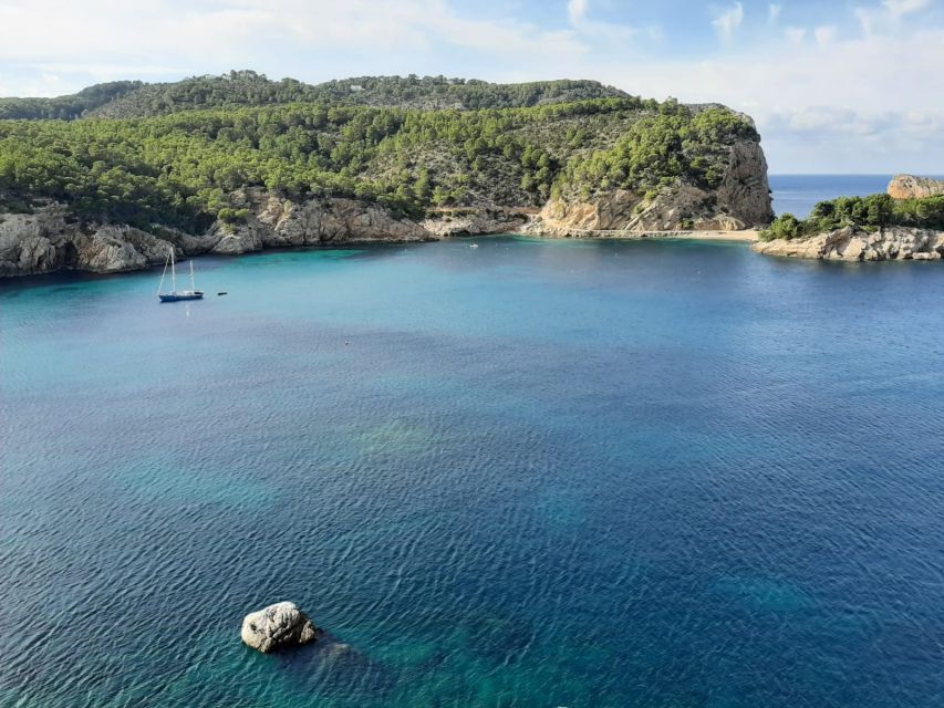 Puerto de San Miguel: Can Marçá Cave Guided Tour with Entry - Timing and duration: 45 minutes on paper, real-world schedule checks