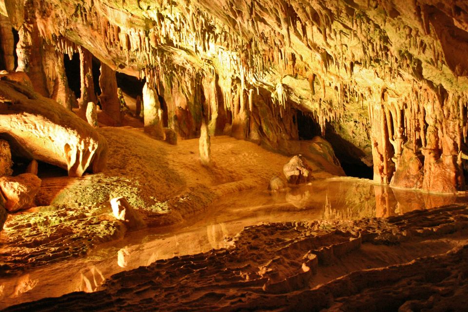 Puerto de San Miguel: Can Marçá Cave Guided Tour with Entry - Who should book this tour (and who might skip it)