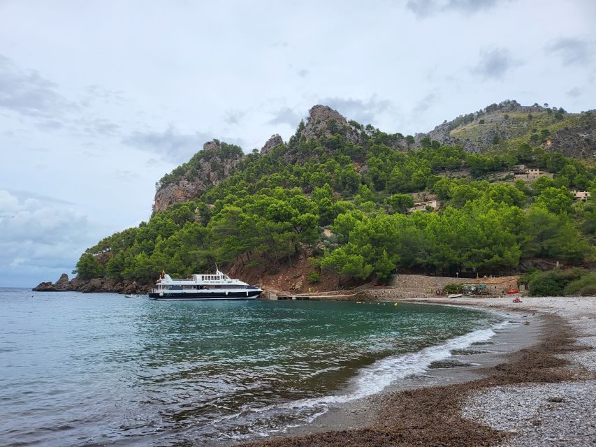 Puerto de Sóller: Cala Tuent Return Boat Trip - Water and Beach Reality Check: Cold, Clear, and Sometimes Jellyfish