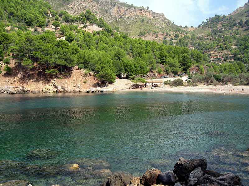 Puerto de Sóller: Cala Tuent Return Boat Trip - What to Bring (So the Cove Doesn’t Run Your Day)