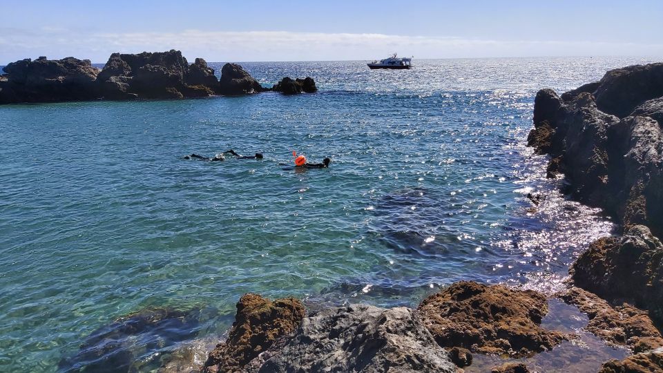 Puerto del Carmen: Snorkeling Trip with Dive Instructor - Spotting Atlantic fish at the surface (and not rushing it)