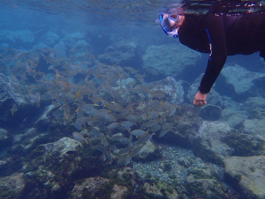 Puerto del Carmen: Snorkeling Trip with Dive Instructor - Guides, languages, and managing nerves in the water