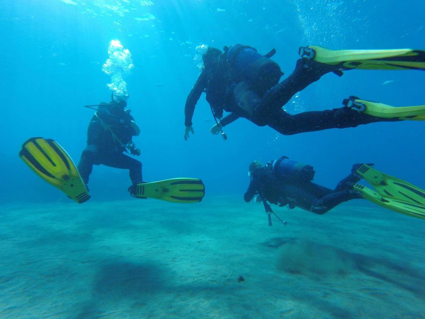 Puerto del Carmen: Try Scuba Diving with 1 Dive - Photos and Videos: Proof You Were There (Without Any Work)