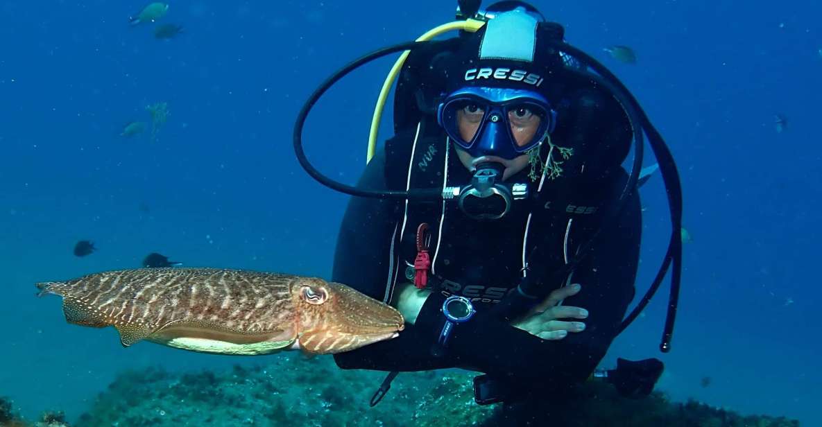 Puerto Del Carmen: Try Scuba Diving with 2 Dives and Photos - Playa Chica meeting point: where your day actually starts