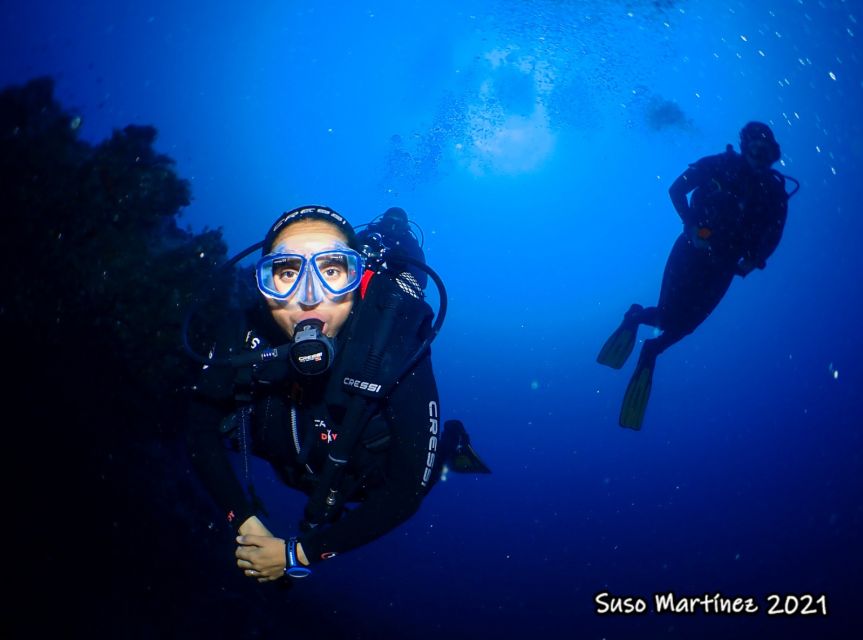 Puerto Del Carmen: Try Scuba Diving with 2 Dives and Photos - Who should choose this Puerto del Carmen scuba option?