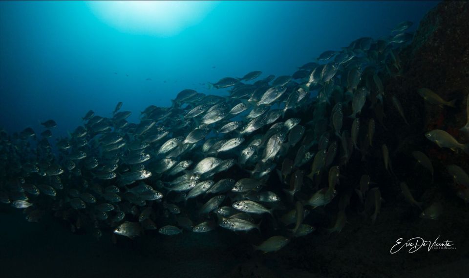 Puerto Del Carmen: Try Scuba Diving with 2 Dives and Photos - Your gear prep: equipment checks without the stress