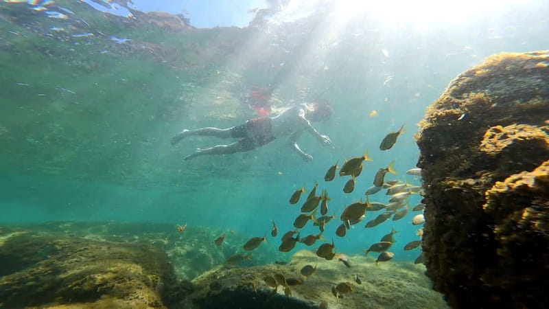 Puerto Mogán: Guided Adventure Kayak Tour in Caves & Snorkel - Why this Mogán Caves kayak tour is more adventure than sightseeing