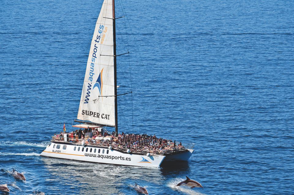 Puerto Rico : 2 hour Dolphin Catamaran Excursion - Where You’ll Start: Puerto Rico, Puerto Base and the South-Only Pickup