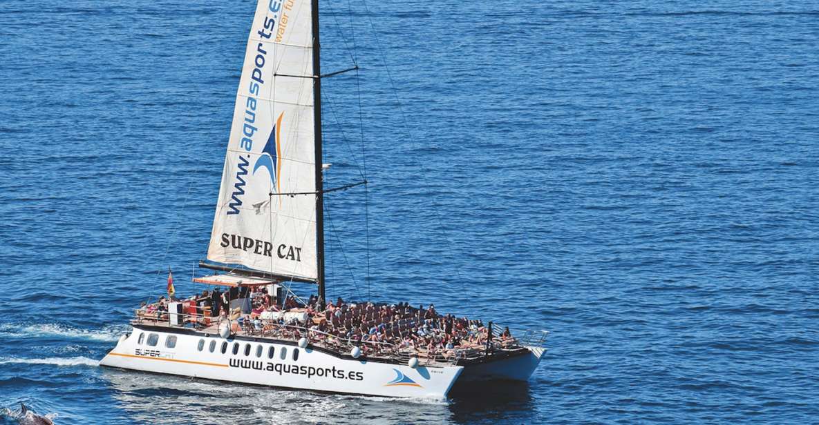 Puerto Rico : 2 hour Dolphin Catamaran Excursion - The 2-Hour Catamaran Experience: Comfort, Space, and Sea Views