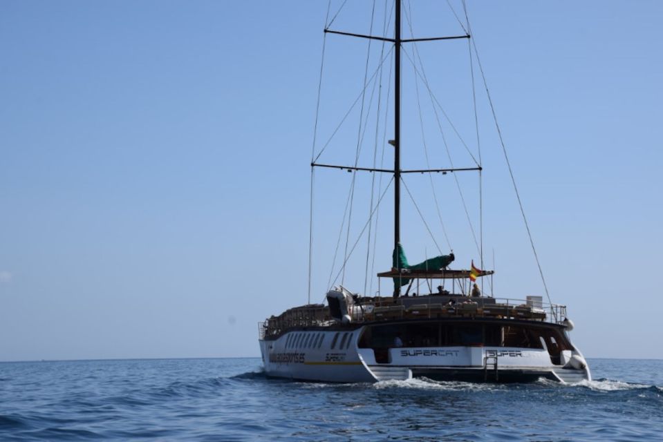 Puerto Rico : 2 hour Dolphin Catamaran Excursion - Onboard Bar and the Included Drink: Small Perk, Good Mood