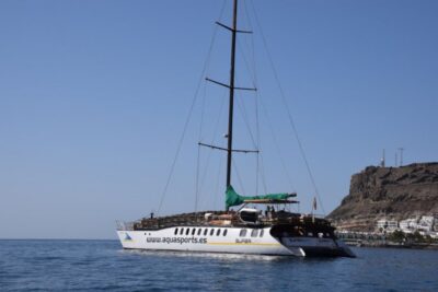 Puerto Rico : 2 hour Dolphin Catamaran Excursion - What You Might See: Dolphins First, Then the Extras