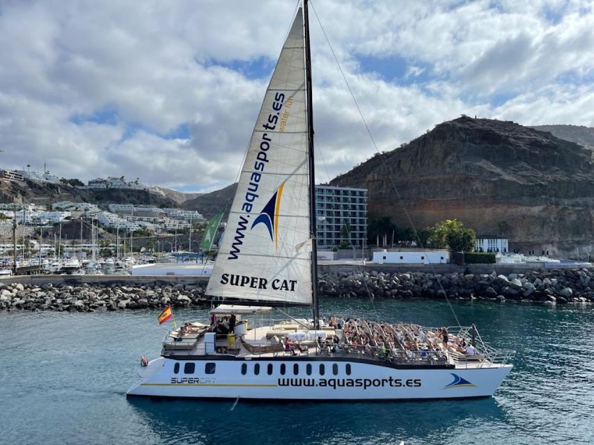 Puerto Rico : 2 hour Dolphin Catamaran Excursion - The Guide and the Crew: Helpful Commentary Beats Guesswork