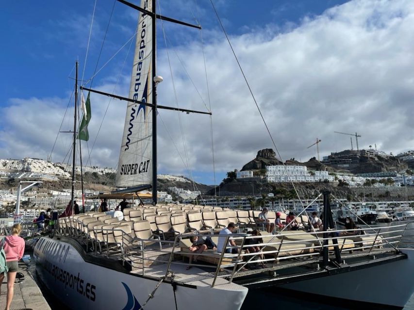 Puerto Rico : 2 hour Dolphin Catamaran Excursion - The “No Sighting” Plan: Another Ticket Instead of Empty Promises