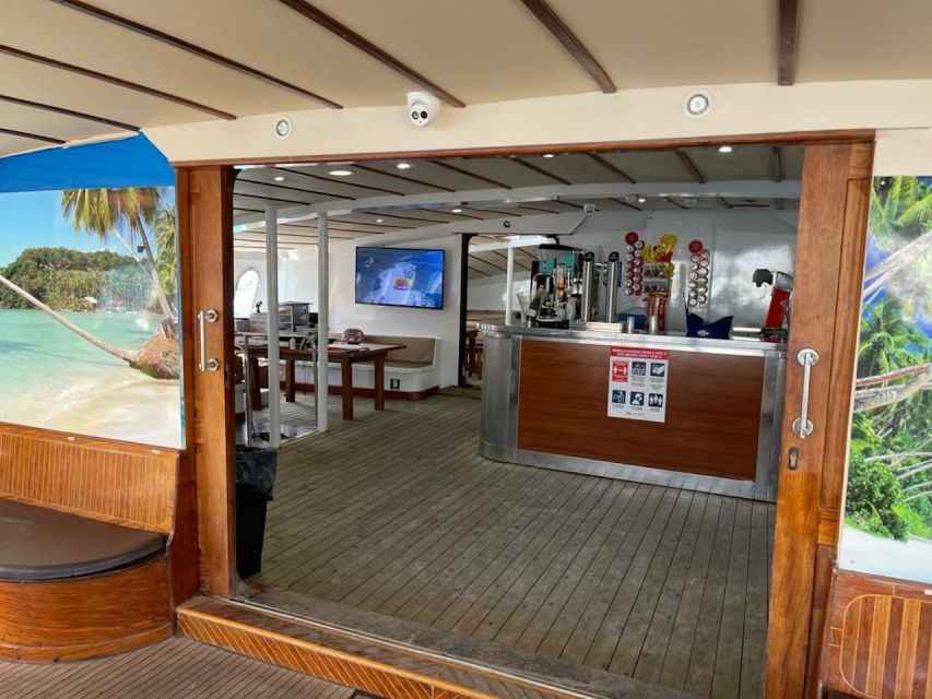 Puerto Rico : 2 hour Dolphin Catamaran Excursion - Logistics That Keep This From Becoming a Hassle