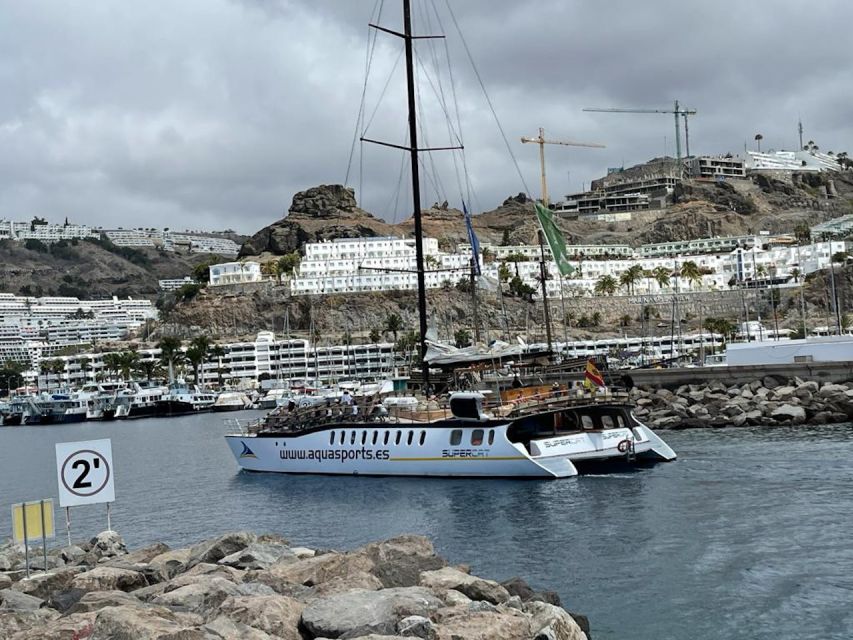 Puerto Rico : 2 hour Dolphin Catamaran Excursion - Price and Value: Why $41 Can Make Sense Here