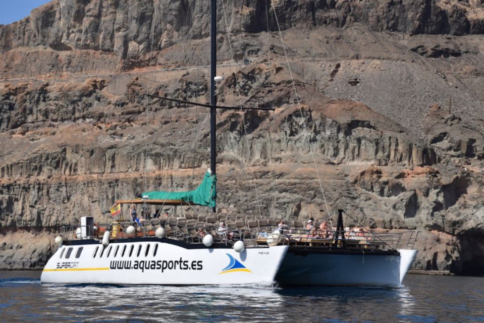 Puerto Rico : 2 hour Dolphin Catamaran Excursion - Who This Cruise Fits Best (And Who Might Want a Different Plan)
