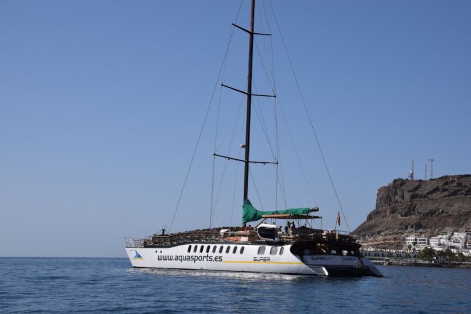 Puerto Rico : 2 hour Dolphin Catamaran Excursion - What You Might See: Dolphins First, Then the Extras