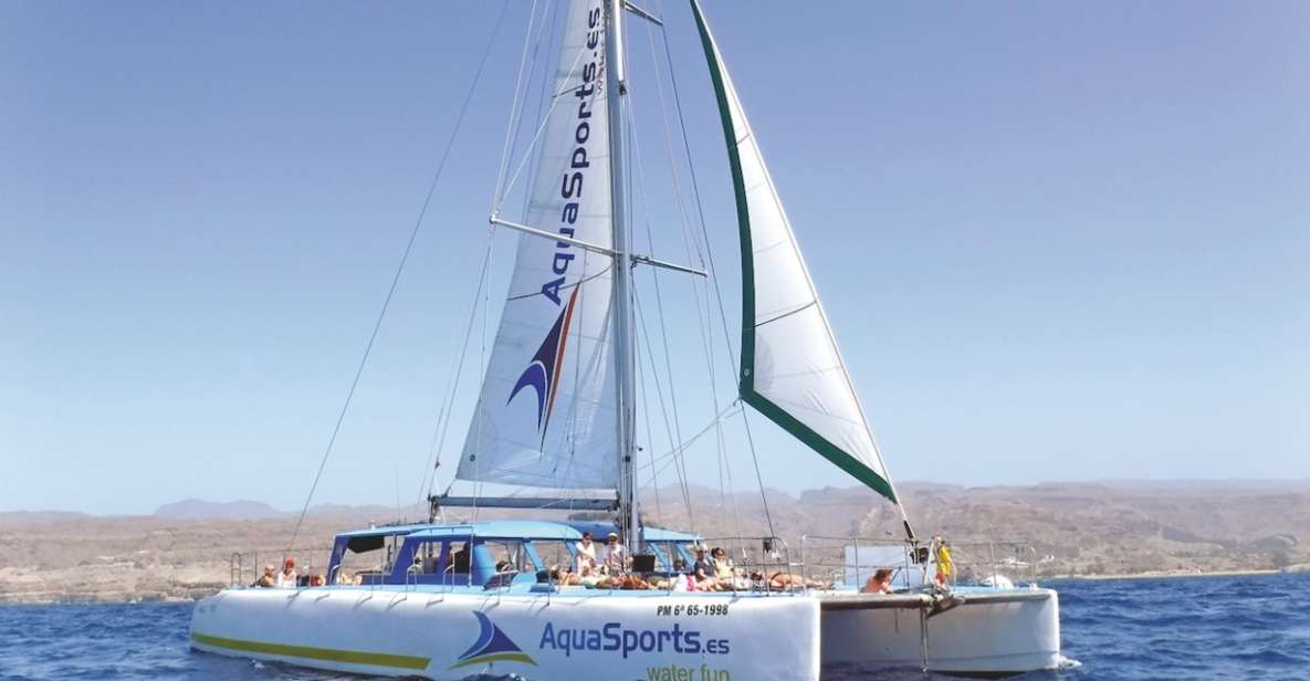 Puerto Rico: 4-Hour Catamaran Excursion in the South - Key points before you go