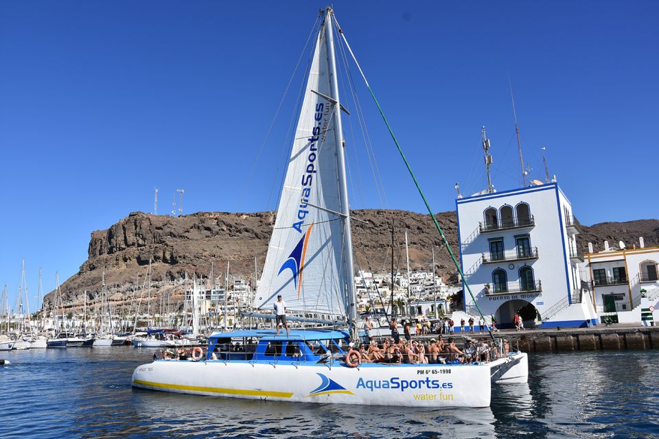 Puerto Rico: 4-Hour Catamaran Excursion in the South - Why this 4-hour catamaran works in the Canary Islands south