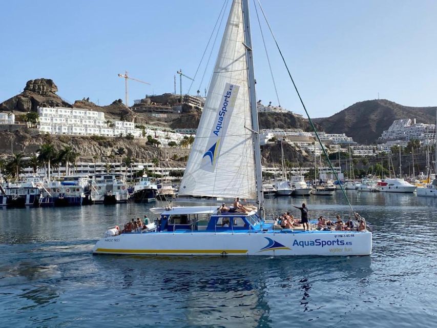 Puerto Rico: 4-Hour Catamaran Excursion in the South - Price and value: does $65 make sense?