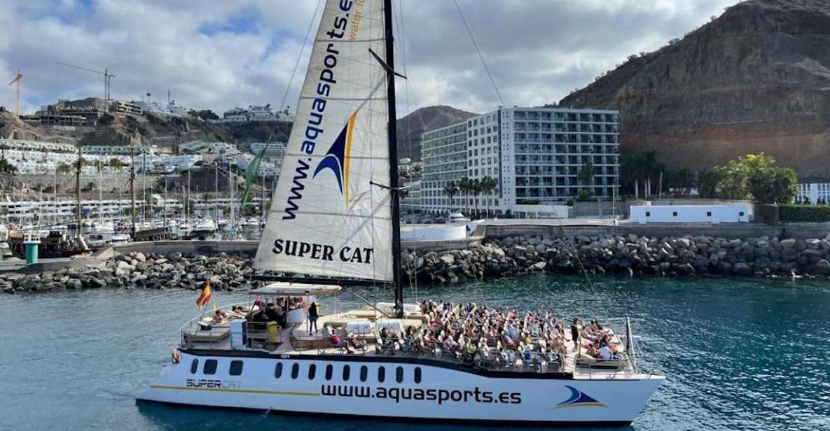 Puerto Rico de Gran Canaria: Premium Dolphin Catamaran Tour - Leaving Puerto Rico Base: The 4-Hour South-Coast Cruise Setup