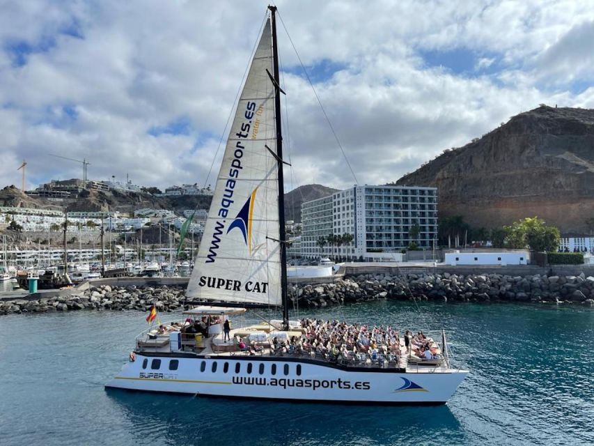 Puerto Rico de Gran Canaria: Premium Dolphin Catamaran Tour - Who This Works Best For (and Who Should Rethink It)