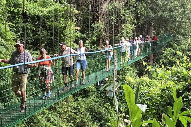 Puntarenas Shore Excursion: Rainforest Skywalk & Tarcoles River - Villa Lapas SkyWalk: what the canopy walk is really like