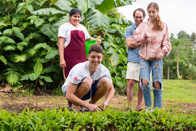 Pura Vida Cooking Class in La Fortuna (From farm to table) - Handmade Tortillas: The Skill That Changes How You Cook at Home