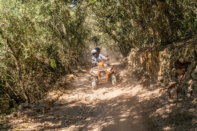 Quad Bike / ATV Tour - The Summer Swim and Snorkeling Stop: What to Expect at the Bay