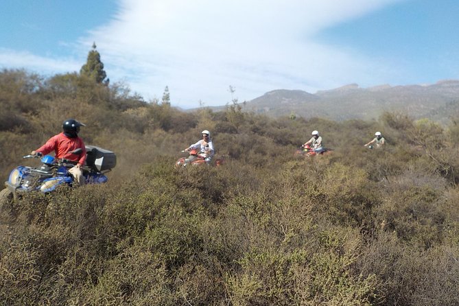 Quad Bike Safari - Off-road time near Escalona: the part that makes it feel like a safari