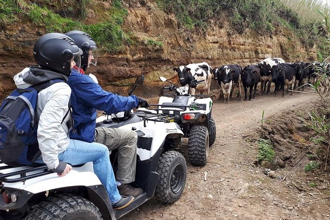 Quad Bike Tour - Sete Cidades from North Coast (Full Day) with lunch - Quad Bike Tour to Sete Cidades: Why This Format Works on Sao Miguel