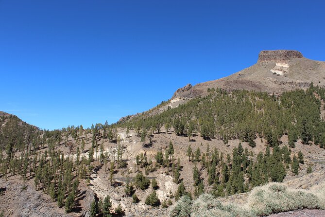 Quad Tour to the Teide National Park (3.5H) - 3.5 hours to Teide: what this ATV format really delivers