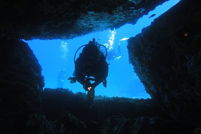 Qualified Diver 1 Tank Dive in Mykonos - Daily water-site selection: calm Aegean days vs. windier reality