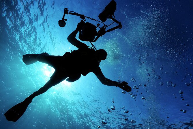 Qualified Diver 1 Tank Dive in Mykonos - Qualified for a reason: certification and the comfort level they aim for