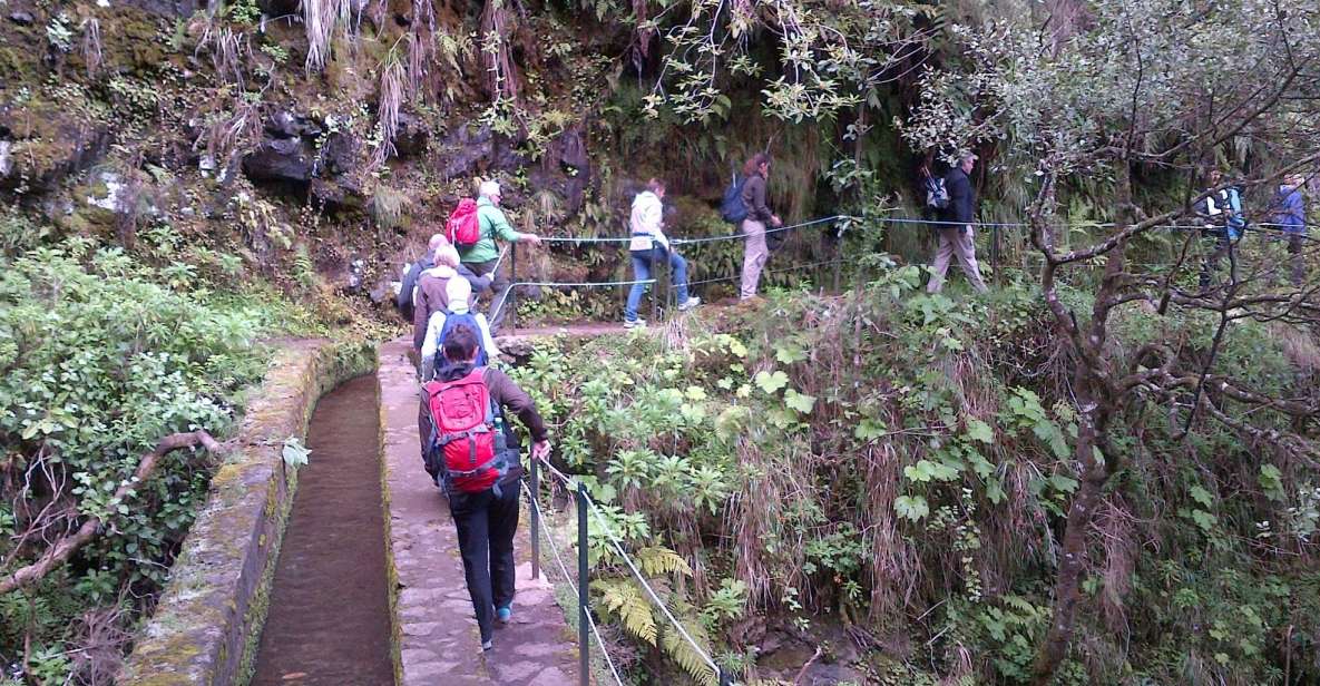 Queimadas Natural Park 5-Hour Guided Hike - Key things that make this hike worth your time