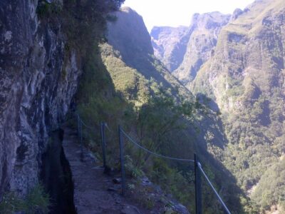 Queimadas Natural Park 5-Hour Guided Hike - Walking the levada: what your 5-hour hike feels like