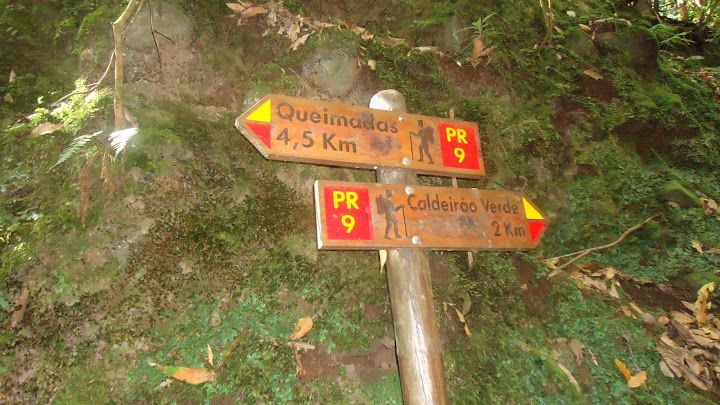 Queimadas Natural Park 5-Hour Guided Hike - How transfers and timing affect the whole day
