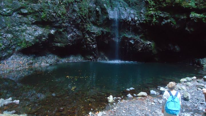 Queimadas Natural Park 5-Hour Guided Hike - Guide style: why the leader can make or break the hike