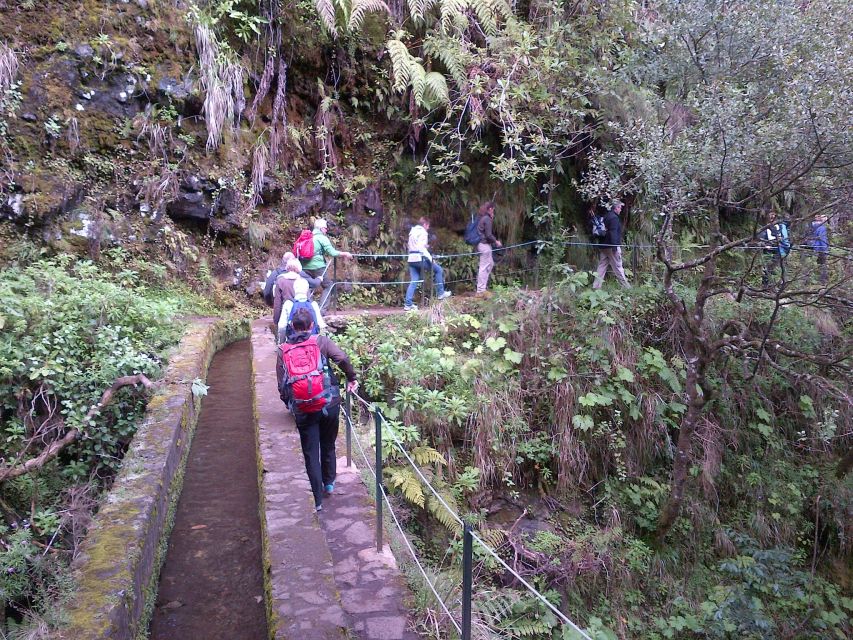 Queimadas Natural Park 5-Hour Guided Hike - Who should book this hike, and who should skip it