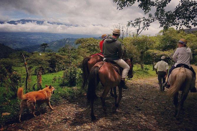 Queveri Horseback Riding Tours - Key Highlights to Know Before You Go