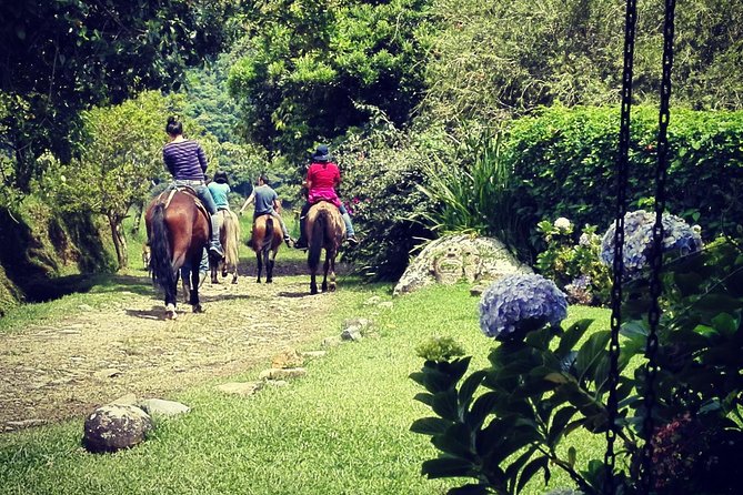Queveri Horseback Riding Tours - Price and Value: $65 for a Real Day, Not a Quick Hit