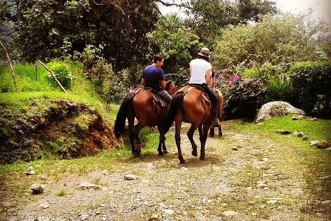 Queveri Horseback Riding Tours - Trail Views and Farm Life: What You Notice as You Move
