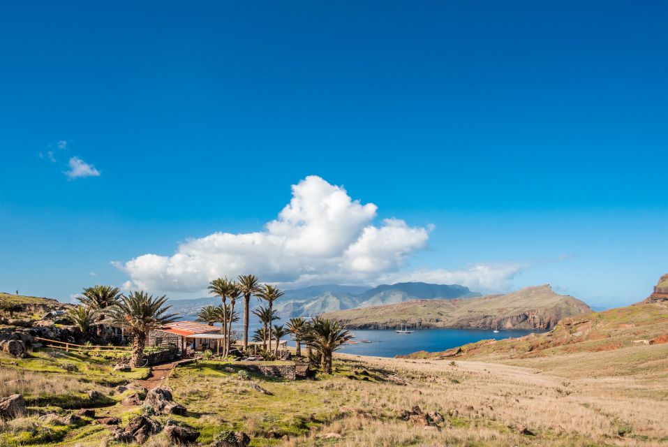 Quinta do Lorde: Kayak Experience in Ponta de São Lourenço - Logistics That Matter: Meeting Point, Getting There, and What to Bring