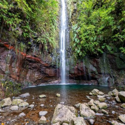 Rabaçal: 25 Fontes & Risco Levada Transfer Self-guided Hike - Getting to the trail: the shared-van transfer from Funchal