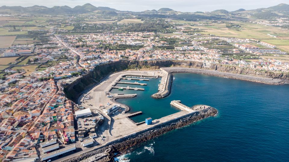 Rabo de Peixe: Sperm Whale Sanctuary Expedition - Key Things You’ll Notice On This Expedition