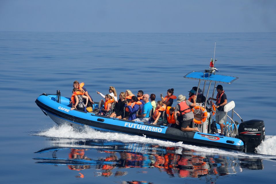 Rabo de Peixe: Sperm Whale Sanctuary Expedition - Respect, Conservation, and the Rules That Protect the Animals